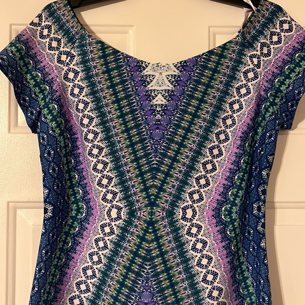 Gently Worn Fitted Bisou Bisou Dress